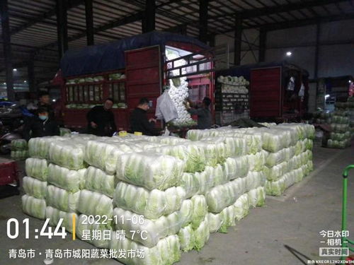 青島五大批發(fā)市場保障市民“菜籃子”供應，零售價格持續(xù)走低